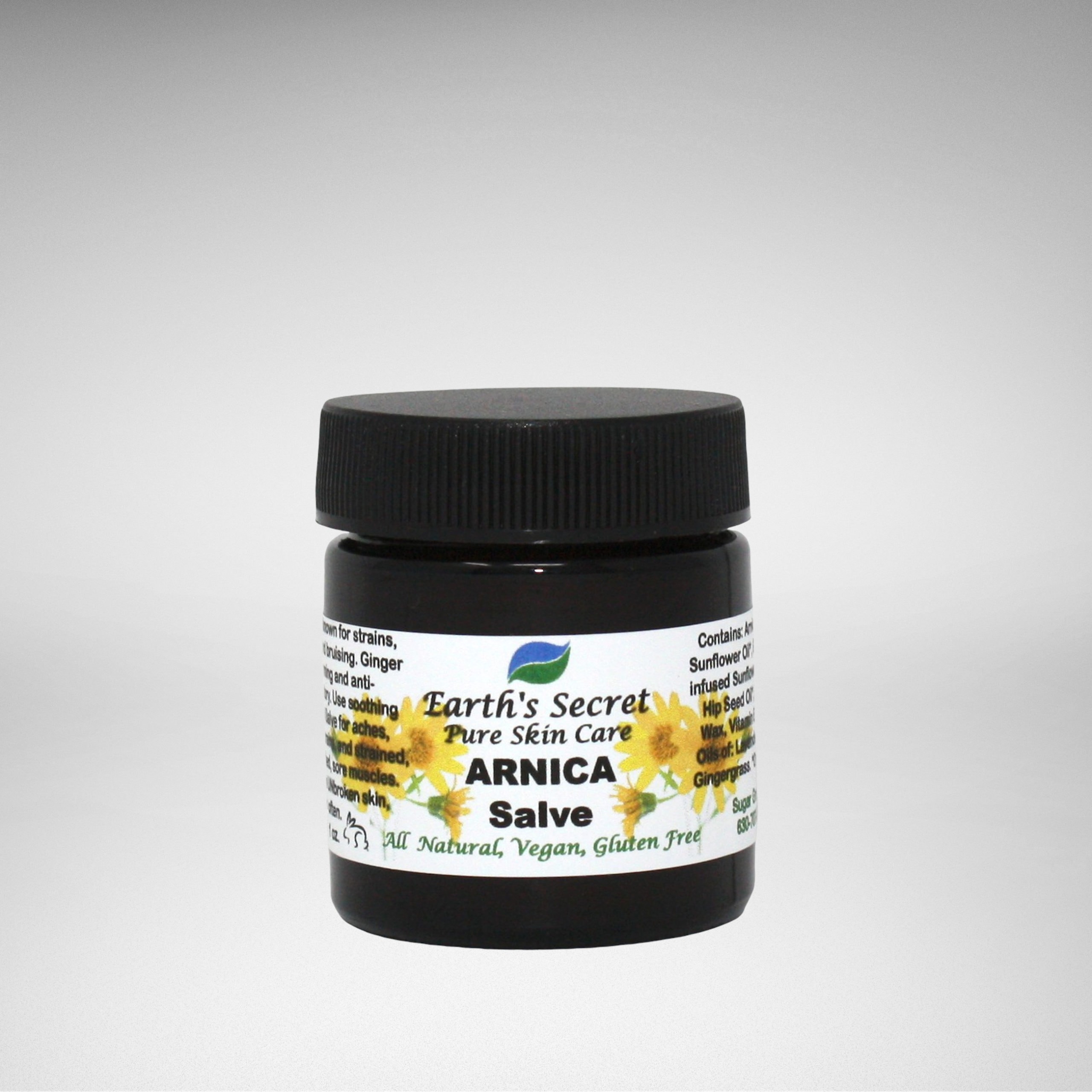 Arnica Salve Earths Secret